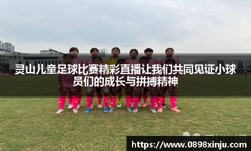 金年会下载