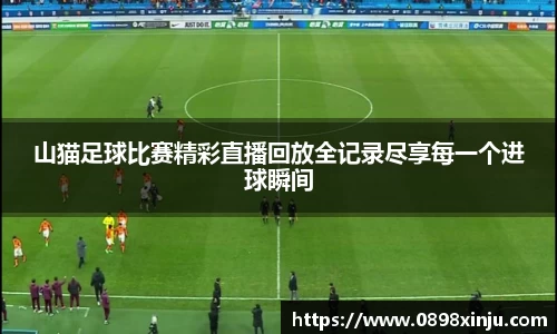 山猫足球比赛精彩直播回放全记录尽享每一个进球瞬间
